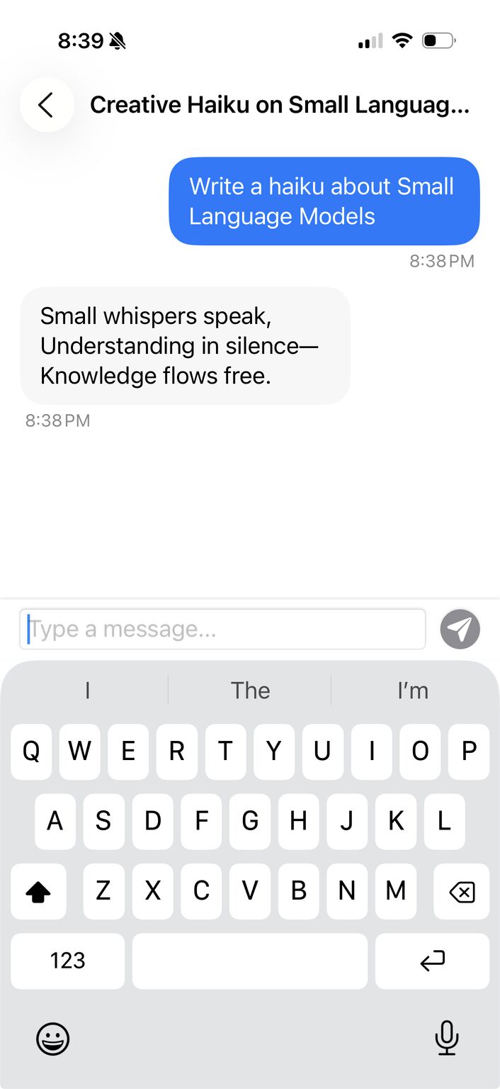 Second screenshot of the Messages-style foundation model interface